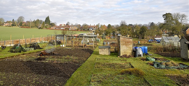 Allotments